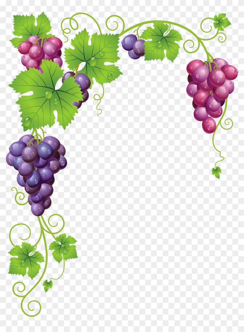 grapevine borders clipart