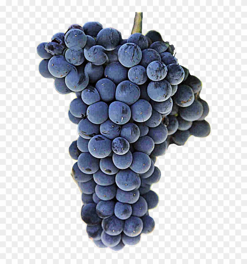 Featured image of post How to Make Red Wine Grapes Png