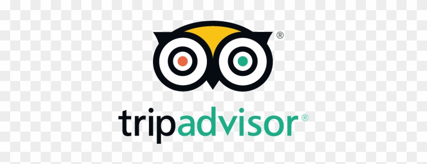 travel advisor