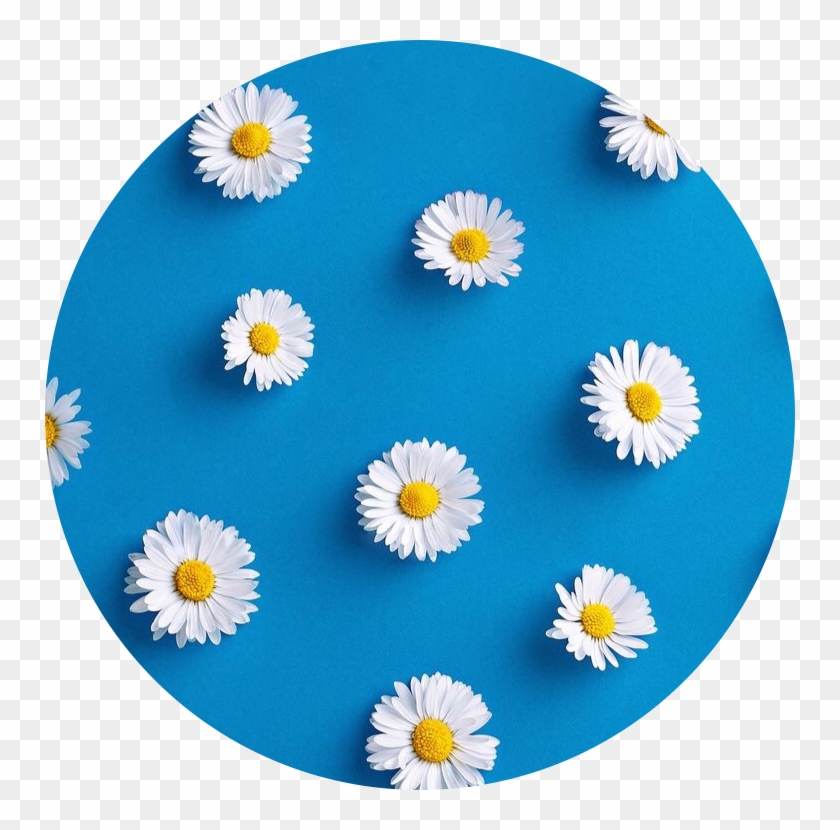 Aesthetic Circle Icon Flower Blue Blueaesthetic Aesthetic Icons Blue Hd Png Download 750x750 2612028 Pngfind - aesthetic roblox icon cute blue