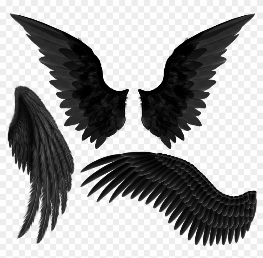 Black Angel Wings Png Transparent Png 1280x1280 Pngfind