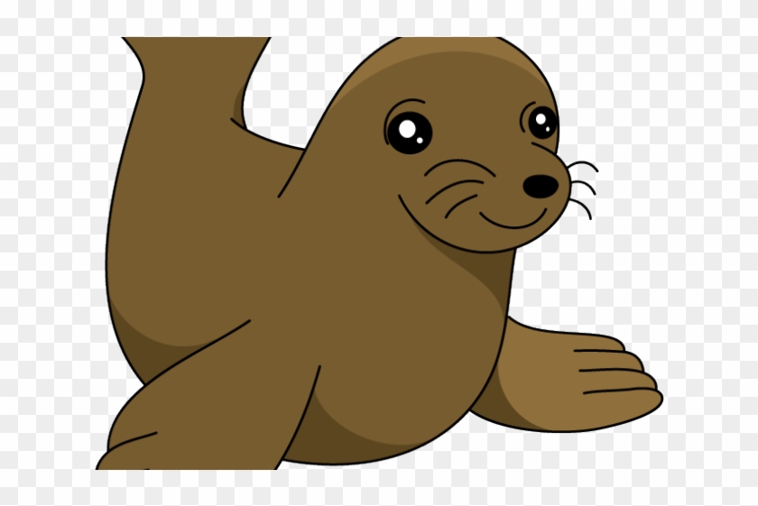 Sea Lion Clipart Cute - Cartoon California Sea Lion, HD Png Download -  640x480(#2613964) - PngFind