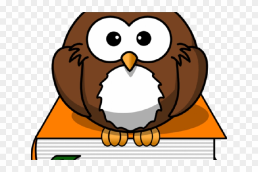 Wise Cliparts - Cartoon Owl, HD Png Download - 640x480(#2614270) - PngFind