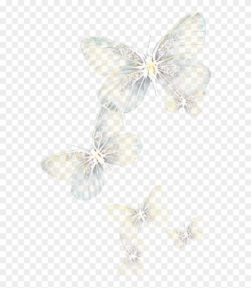 Featured image of post Glow Butterfly Glow Light Picsart Png Discover the magic of the internet at imgur a community powered entertainment destination