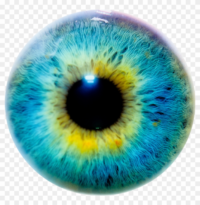 iris-transparent-eye-png-goimages-online