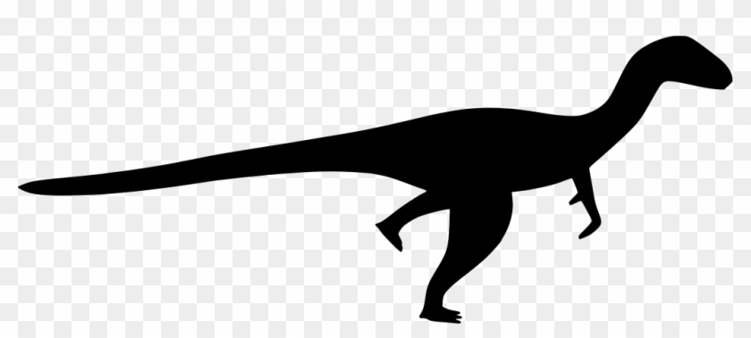 Download Dinosaurs Svg Kid Kangaroo Icon Hd Png Download 1024x414 2637546 Pngfind Yellowimages Mockups