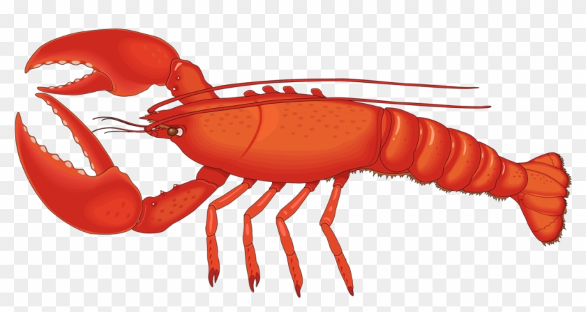 Free Free Friends Lobster Svg 594 SVG PNG EPS DXF File