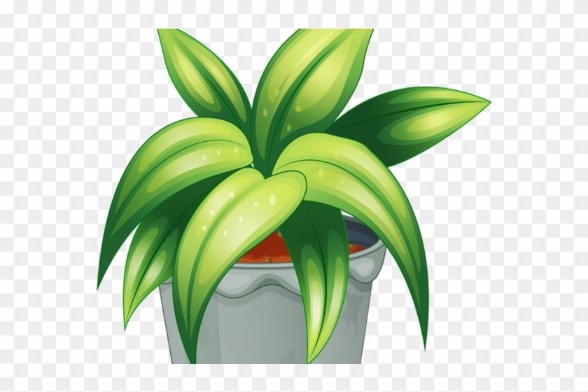 Pot Plant Clipart Baby - Plants Cartoon Psd, HD Png Download -  640x480(#2643033) - PngFind