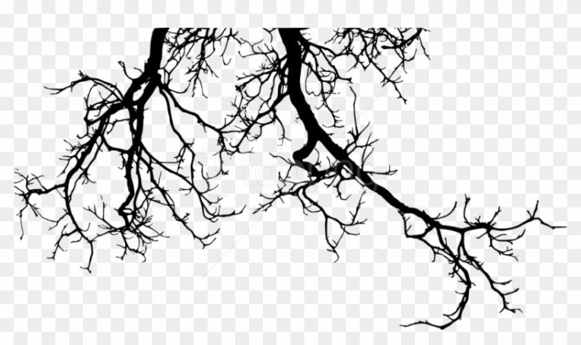 Branches Free Images Toppng Tree Branch Silhouette Png Transparent Png 850x465 Pngfind