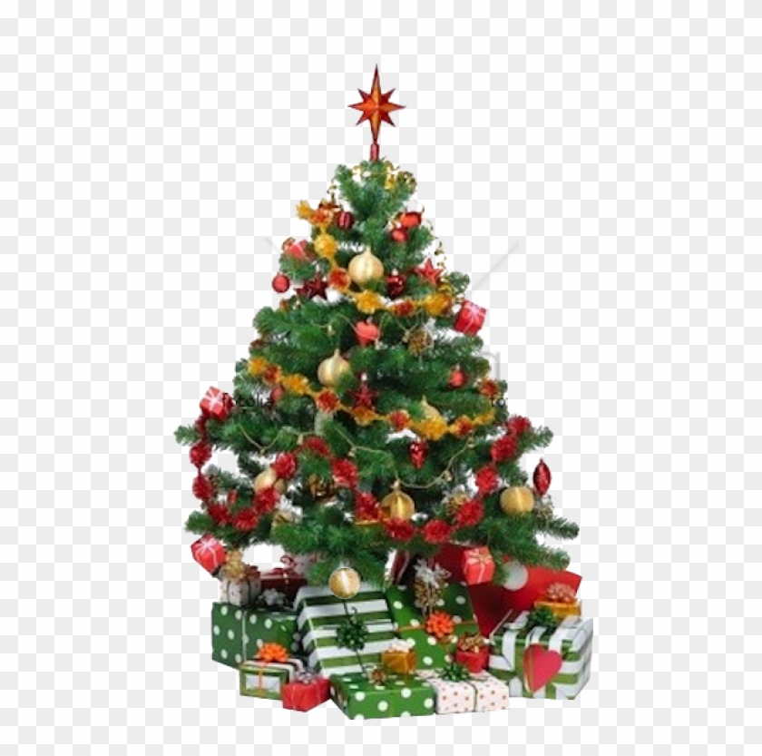 Free Png Animated Moving Christmas Tree Png Image With - Happy Christmas  Day Gif, Transparent Png - 480x753(#2653399) - PngFind