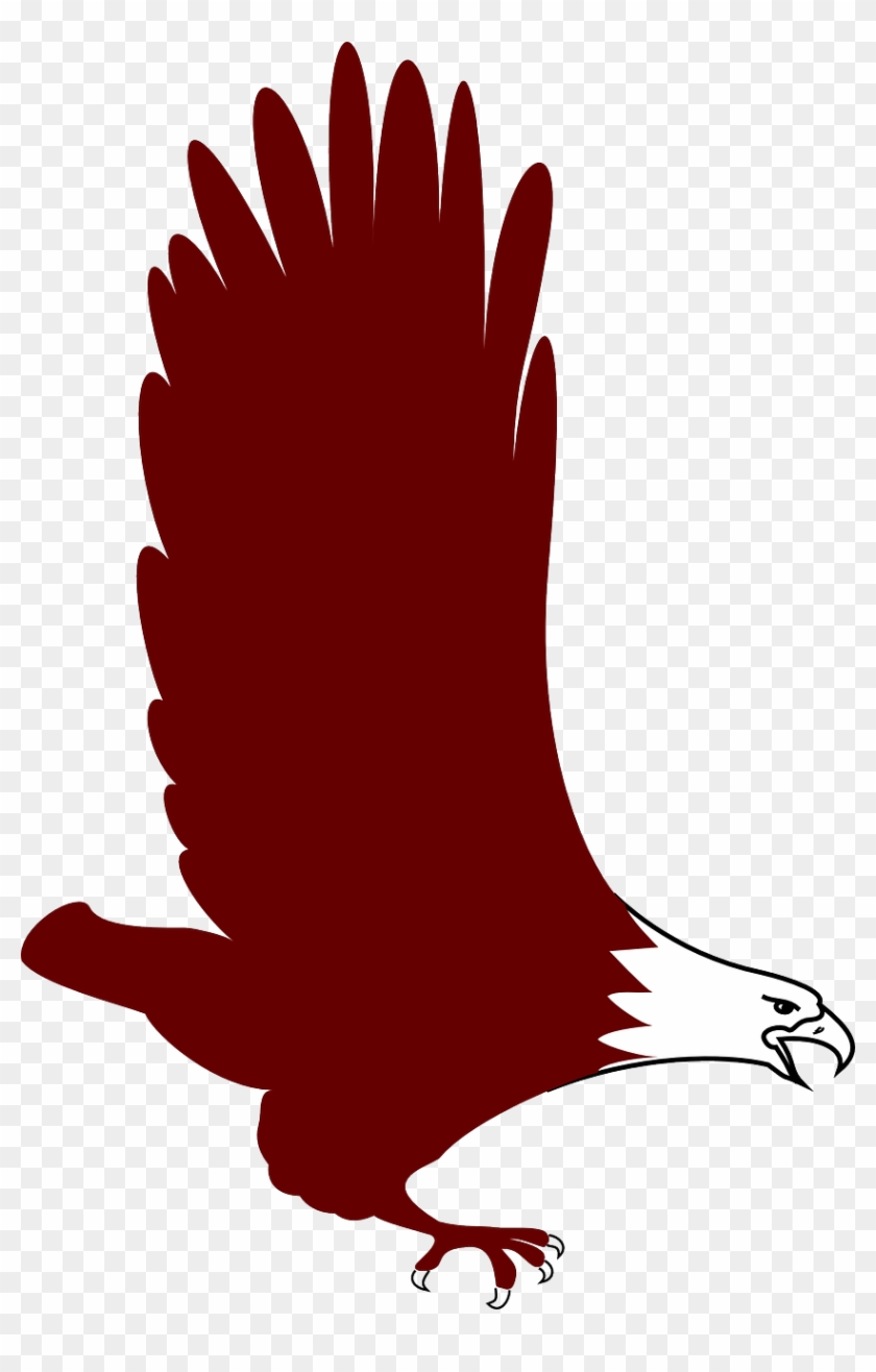 Eagle Bird Flying Wings Png Image - Red Eagle Clip Art, Transparent Png -  842x1280(#2656353) - PngFind