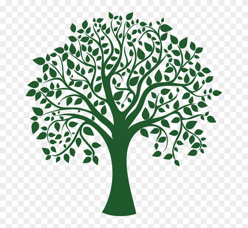 Download Harrina Consulting - Family Tree Vector, HD Png Download ...