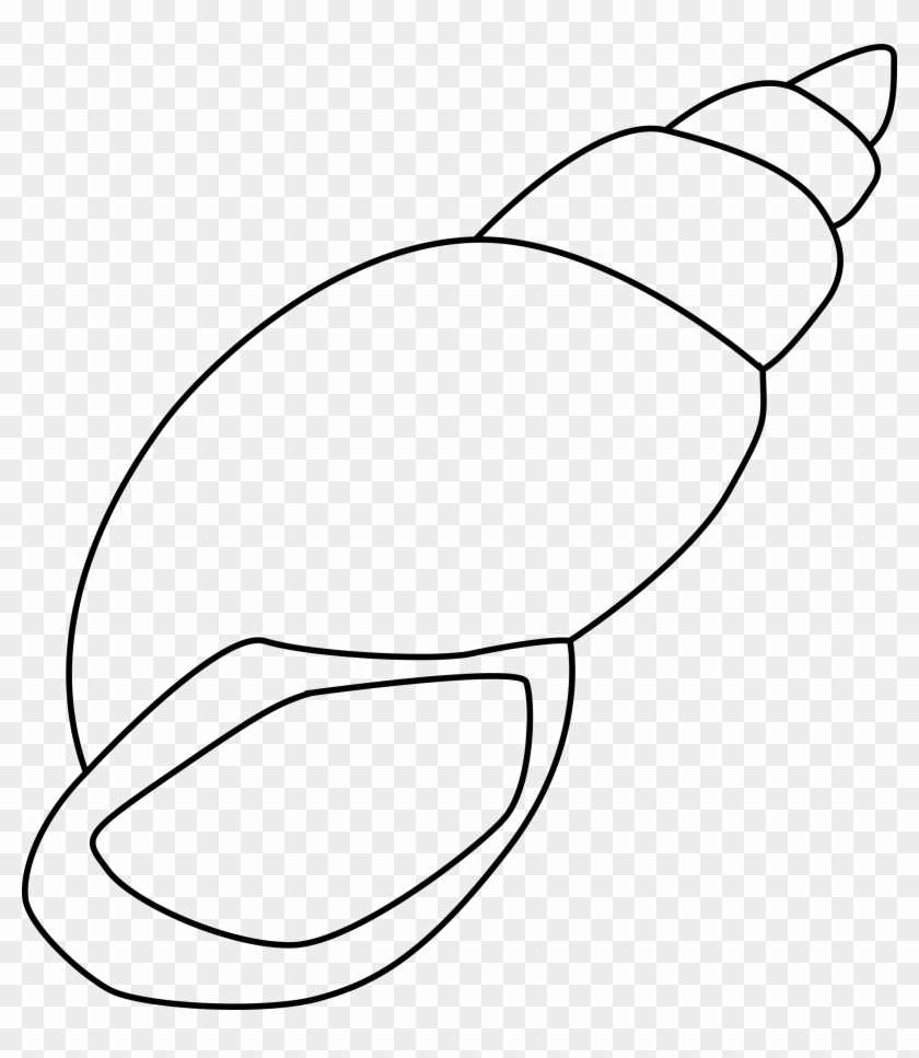 Download Svg Stock Shell Black And White Clipart Seashell Clipart Black And White Hd Png Download 2174x2400 2686663 Pngfind