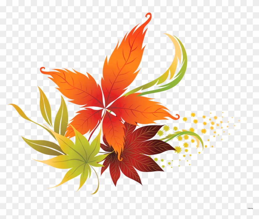 Leaves Clipart 7 Leaves Transparent Background Fall Leaves Clipart Hd Png Download 3057x2446 Pngfind Leaves Clipart 7 Leaves Transparent Background Fall Leaves Clipart Hd Png Download 3057x2446 Pngfind