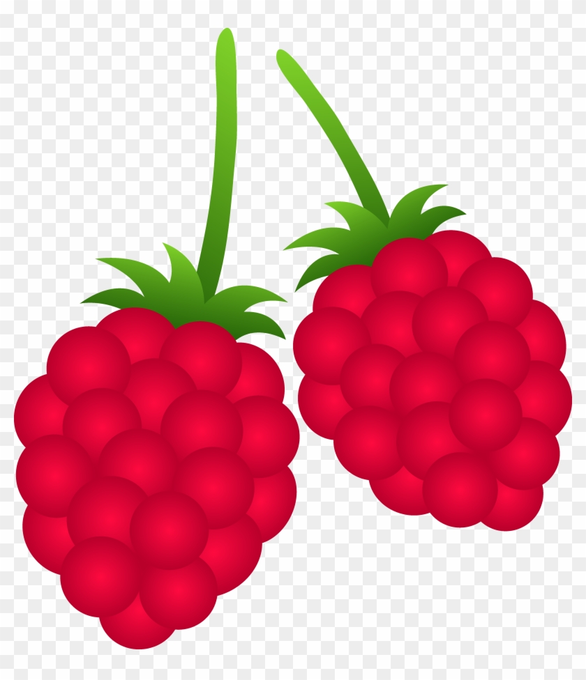 Fruit Cartoon Cliparts - Raspberry Clip Art, HD Png Download -  4571x5098(#2702864) - PngFind