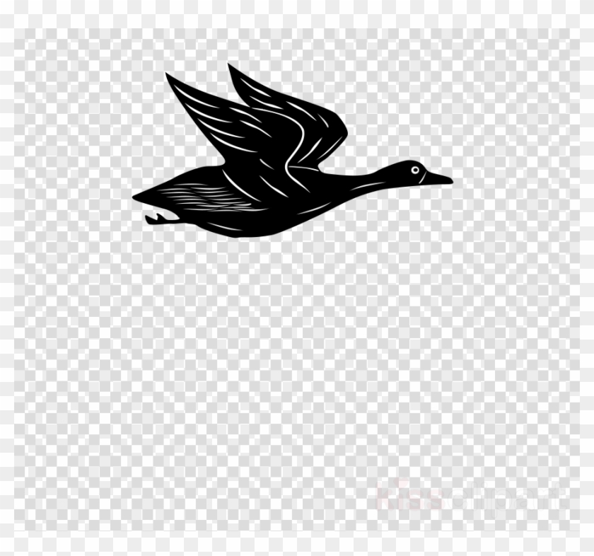 Cartoon Flying Duck Gif Clipart Duck Mallard Clip Art Clipart Transparent Background Airplanes Hd Png Download 900x800 2705029 Pngfind