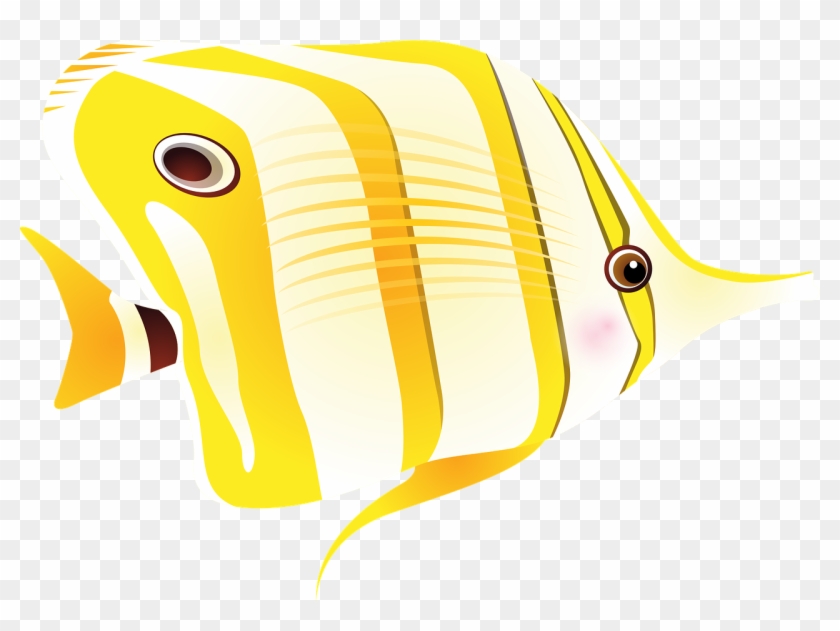 Fish Tropical Fish Sea Png Image - Tropical Fish, Transparent Png -  1280x902(#2730290) - PngFind