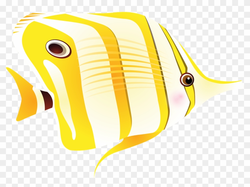 Fish Tropical Fish Sea Png Image - Tropical Fish, Transparent Png - 1280x902(#2730290) - PngFind Fish Tropical Fish Sea Png Image - Tropical Fish, Transparent Png - 1280x902(#2730290) - PngFind