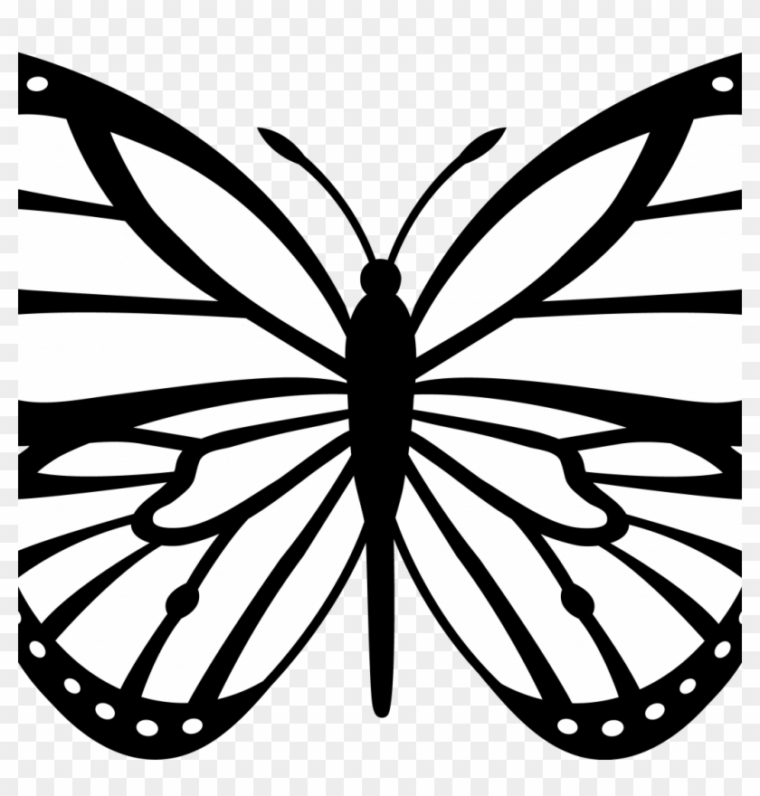 traceable-butterfly-images-with-free-butterfly-wing-butterfly-line
