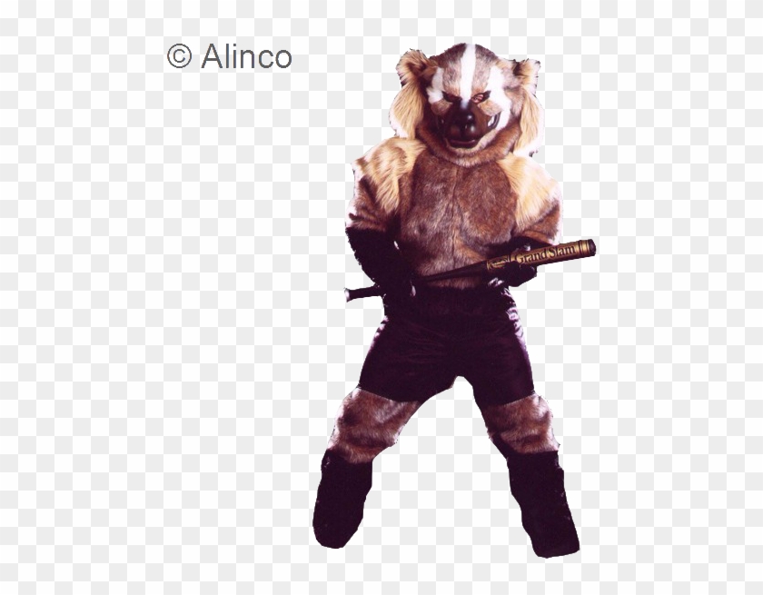 Pro-line Badger/wolverine Mascot Costume - Wolverine Vs Badger, HD Png