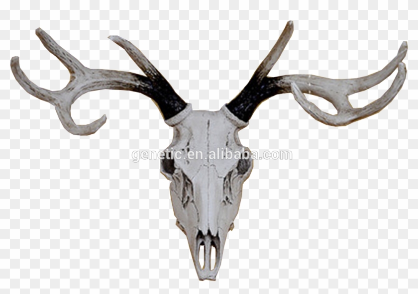Life Color Vivid Animal Sculpture Room Decoration Black Reindeer Hd Png Download 1072x1056 Pngfind Life Color Vivid Animal Sculpture Room Decoration Black Reindeer Hd Png Download 1072x1056 Pngfind
