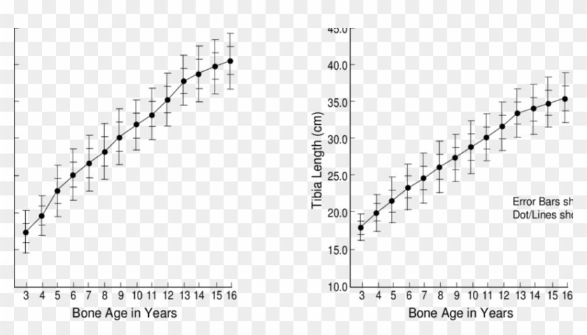 Bone Age Chart