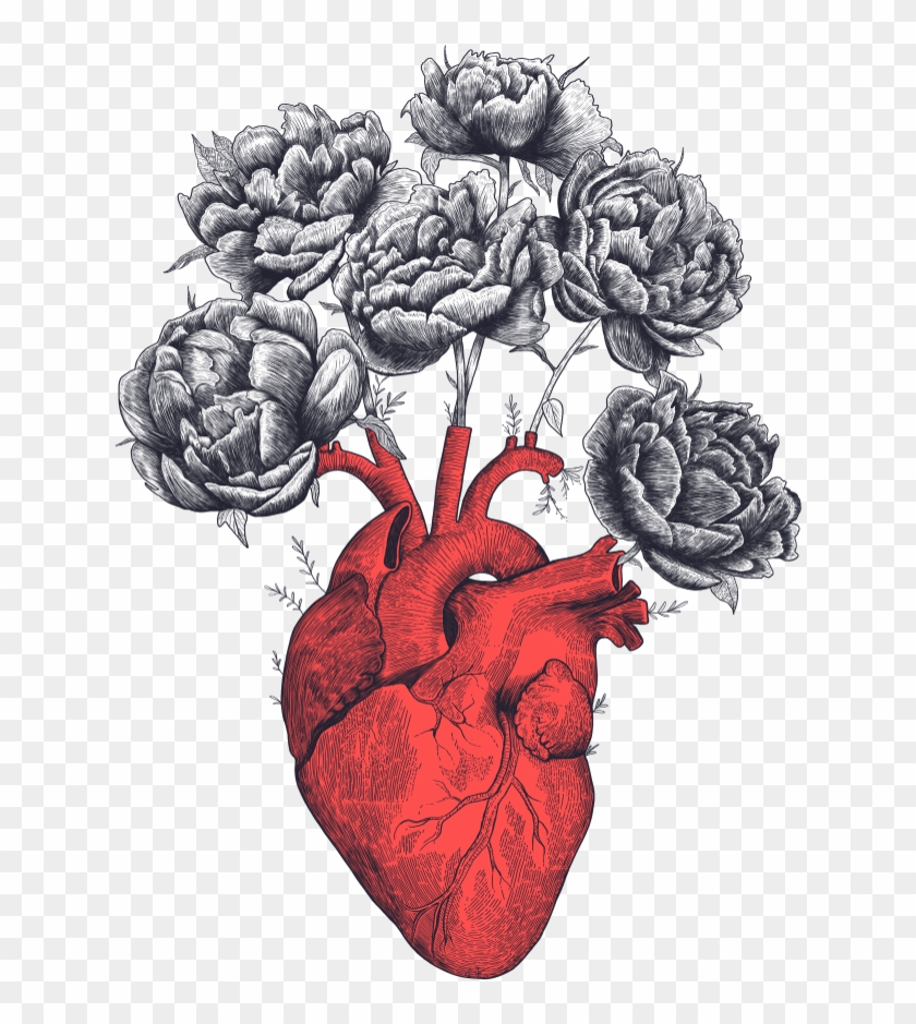 Featured image of post Heart Images Drawing Hd / The heart is a muscular organ in humans and other animals, which pumps blood through the blood vessels of the circulatory system.