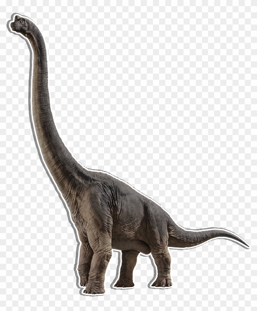lizard dinosaurs