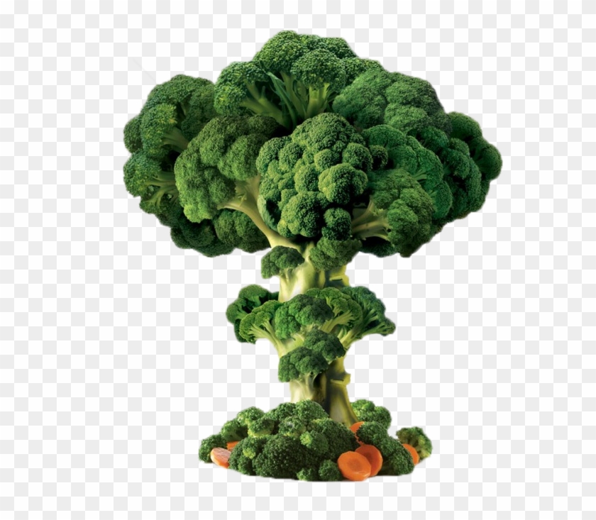 658 X 740 15 - Broccoli Explosion, HD Png Download - 658x740(#283937 ...