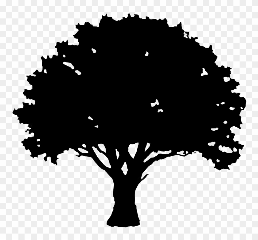 Download Silhouette Graphics Svg Library Stock Tree Silhouette Clipart Hd Png Download 827x709 287675 Pngfind