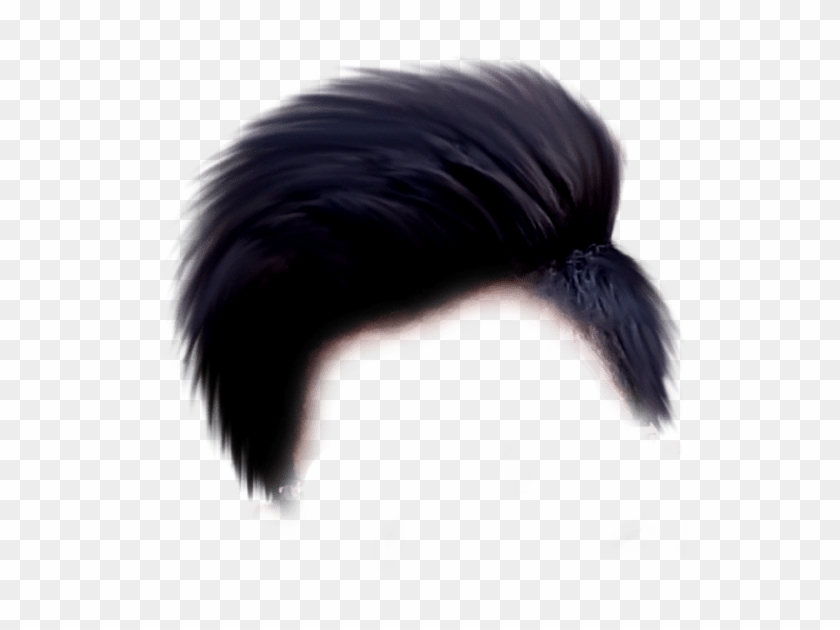 Editing Hair Png Hd, Transparent Png - 812x632(#2803115) - PngFind Editing Hair Png Hd, Transparent Png - 812x632(#2803115) - PngFind
