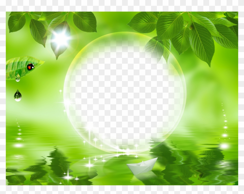 Download Hd Nature Frames Nature Green Leaf Background Natural
