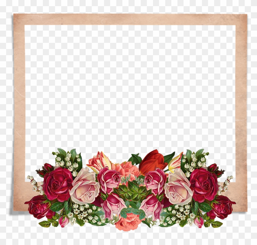 Gambar Bingkai Bunga Hd - Kumpulan Gambar Bunga