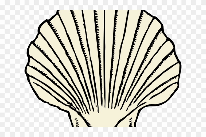 Clams Clipart Scallop Shell Shell Clipart Black And White Hd Png Download 640x480 2808094 Pngfind