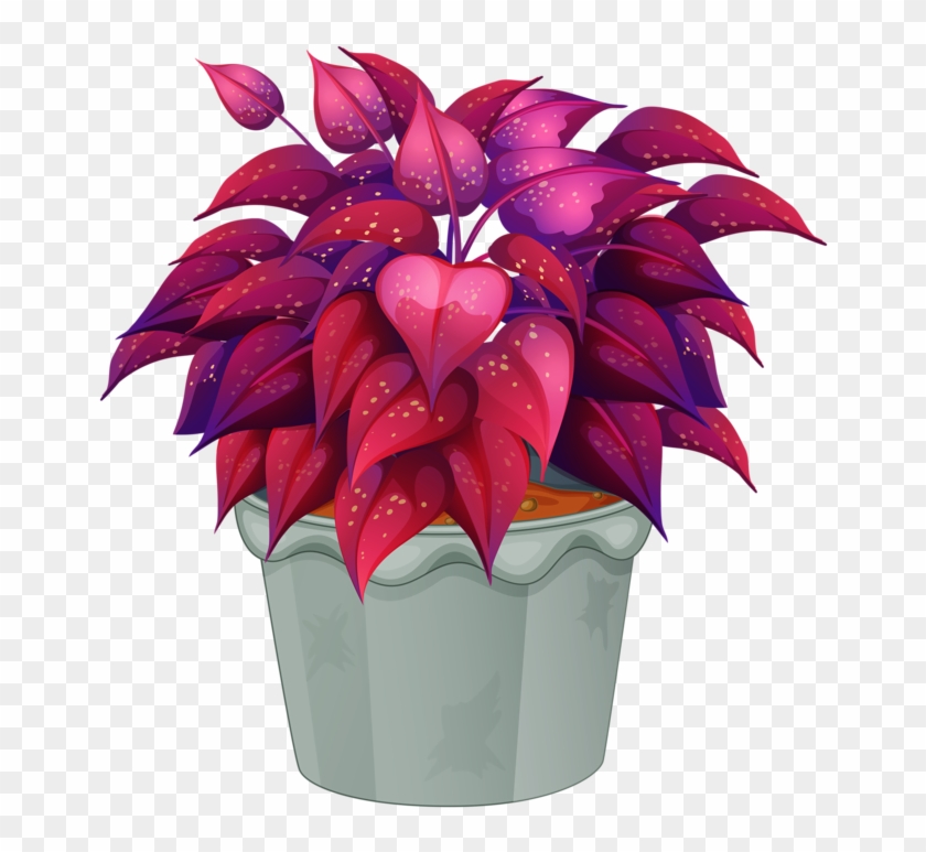 7 Friendship Flowers Flower Clipart Trees To Plant Flower Pot Png Clipart Transparent Png 714x800 Pngfind 7 Friendship Flowers Flower Clipart Trees To Plant Flower Pot Png Clipart Transparent Png 714x800 Pngfind