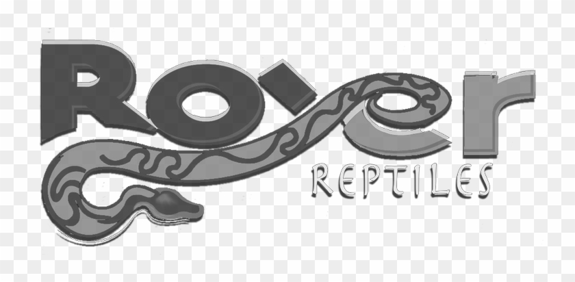 Python Logo Clipart Ball Python - Illustration, HD Png Download ...
