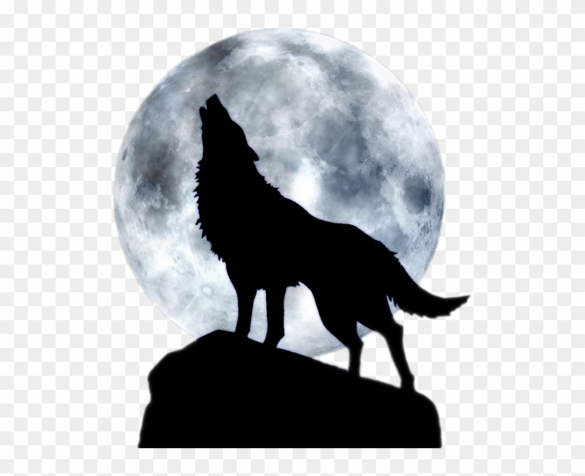 Pin By France Loyer On Loup Pinterest Wolf And Moon Png Transparent Png 532x622 Pngfind Pin By France Loyer On Loup Pinterest Wolf And Moon Png Transparent Png 532x622 Pngfind