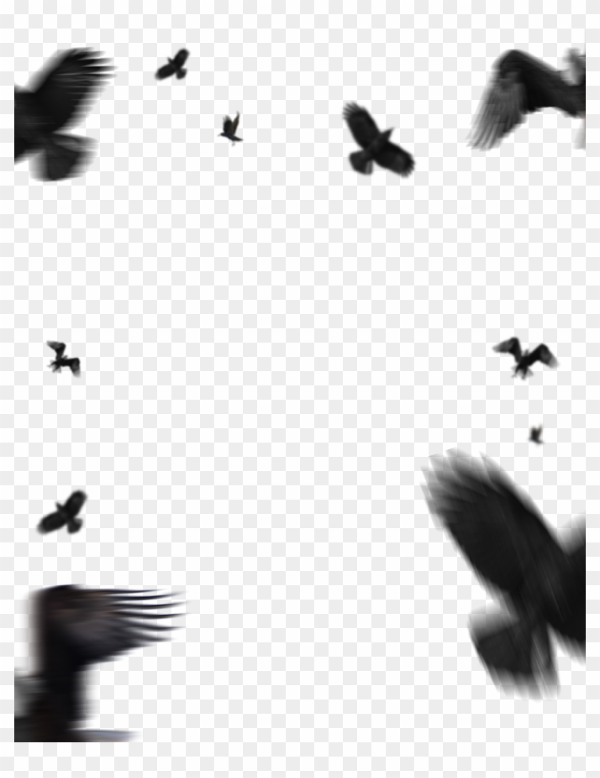 Flying Eagle Png ➤ Download - Editing Picsart Lightroom Background Hd,  Transparent Png - 1440x1800(#2832229) - PngFind