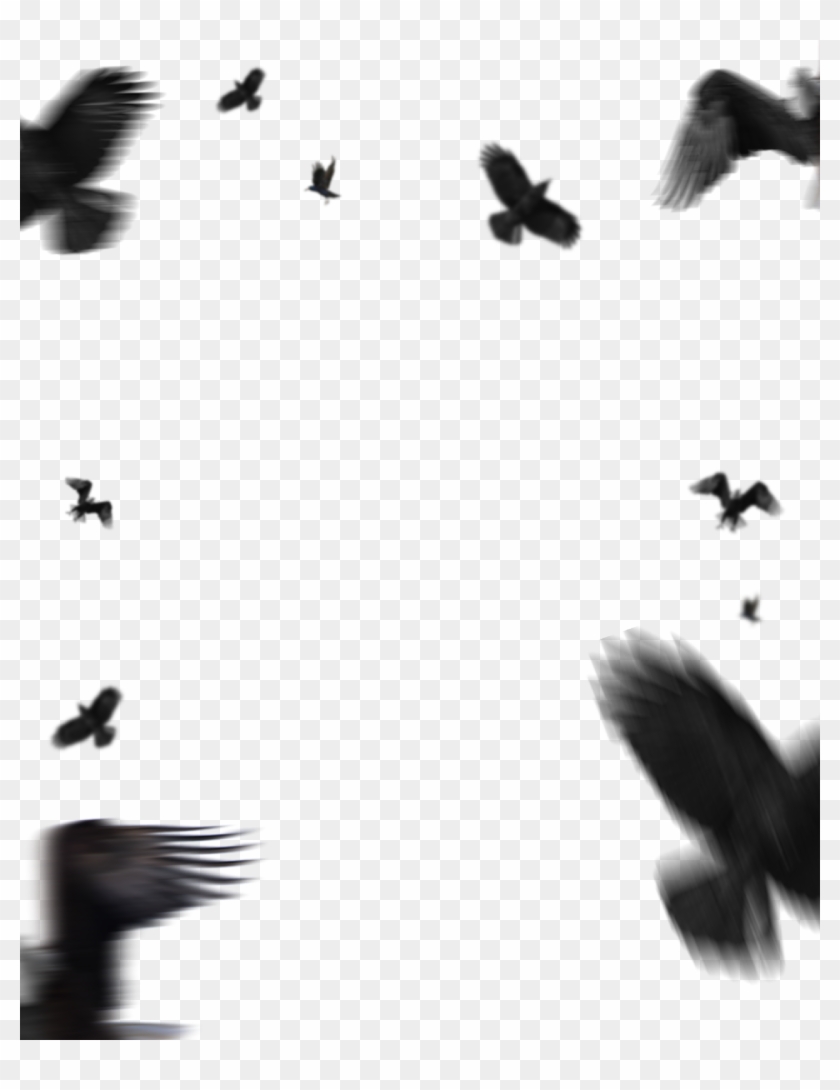 Flying Eagle Png Download Editing Picsart Lightroom