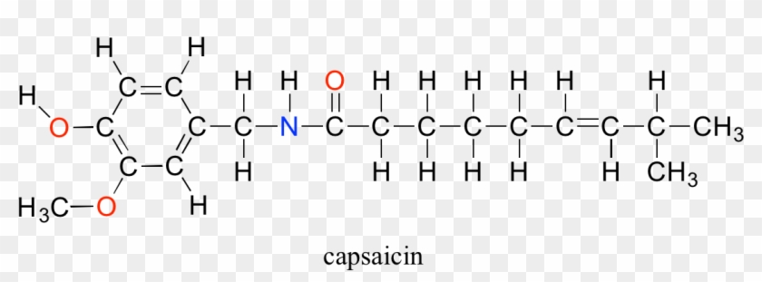 Capsaicin - Capsaicin Structural Formula, HD Png Download - 1136x385 ...

