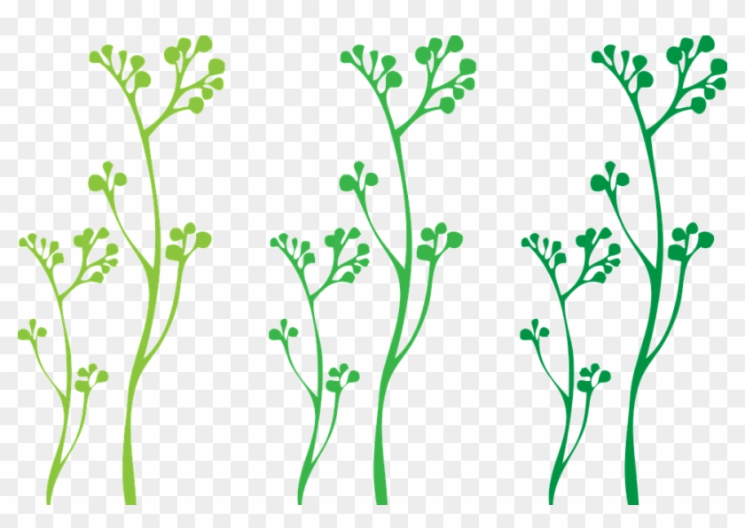 Download Plants Green Stems Plant Svg Hd Png Download 960x636 2836004 Pngfind