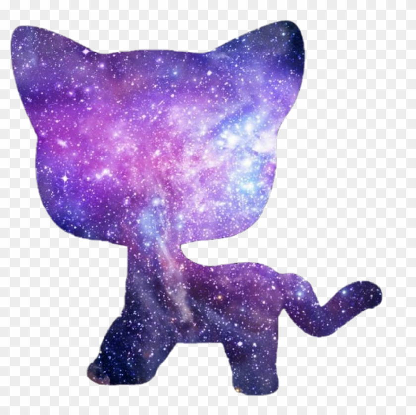 Lps sales cat png