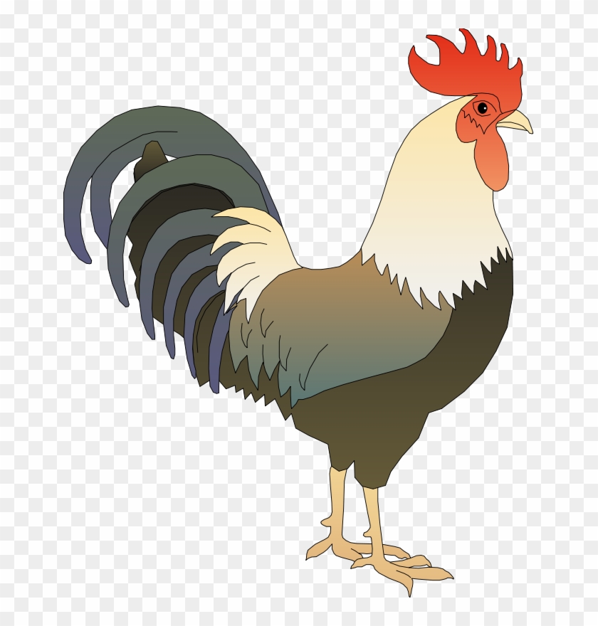 Rooster Art Gambar Ayam  Jago Kartun  HD Png  Download 