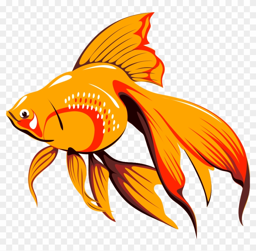Goldfish Cartoon Png Transparent Png 778x7 Pngfind Goldfish Cartoon Png Transparent Png 778x7 Pngfind