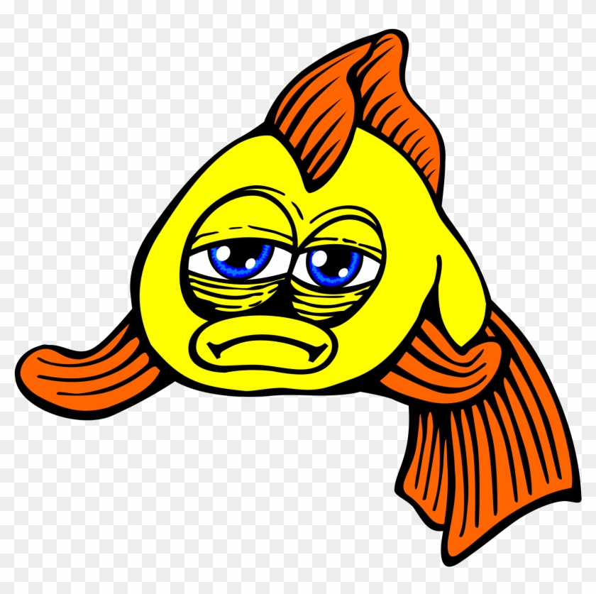 Goldfish - Cartoon Sad Fish Png, Transparent Png - 1617x1535(#297031) -  PngFind