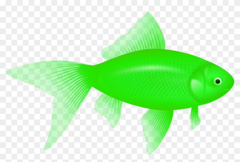 Fish Eight - Green Fish Transparent Background, HD Png Download -  1969x1307(#297332) - PngFind