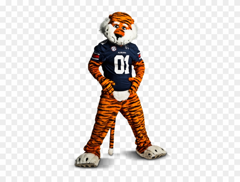 Auburn Football, College Football Teams, Auburn Tigers, - Auburn Mascot, HD  Png Download - 500x650(#2911363) - PngFind