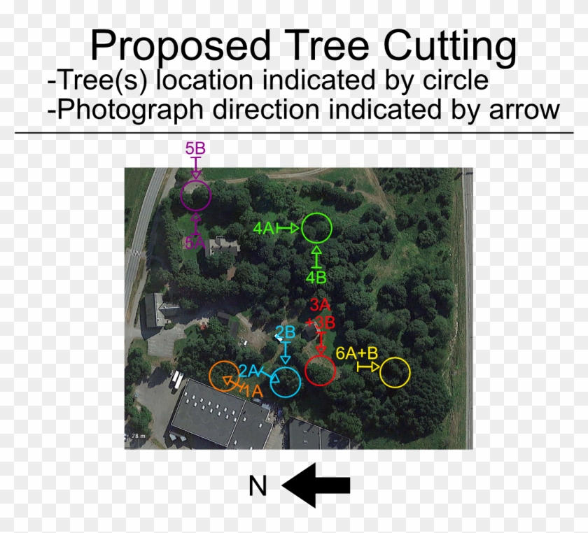 Tree Felling Map - Messer Cutting Systems, HD Png Download - 1340x1152 ...