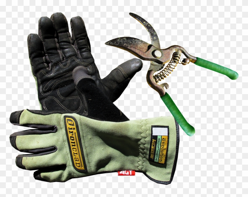 Best Garden Gloves For Thorns Bahce Eldiveni Png Transparent