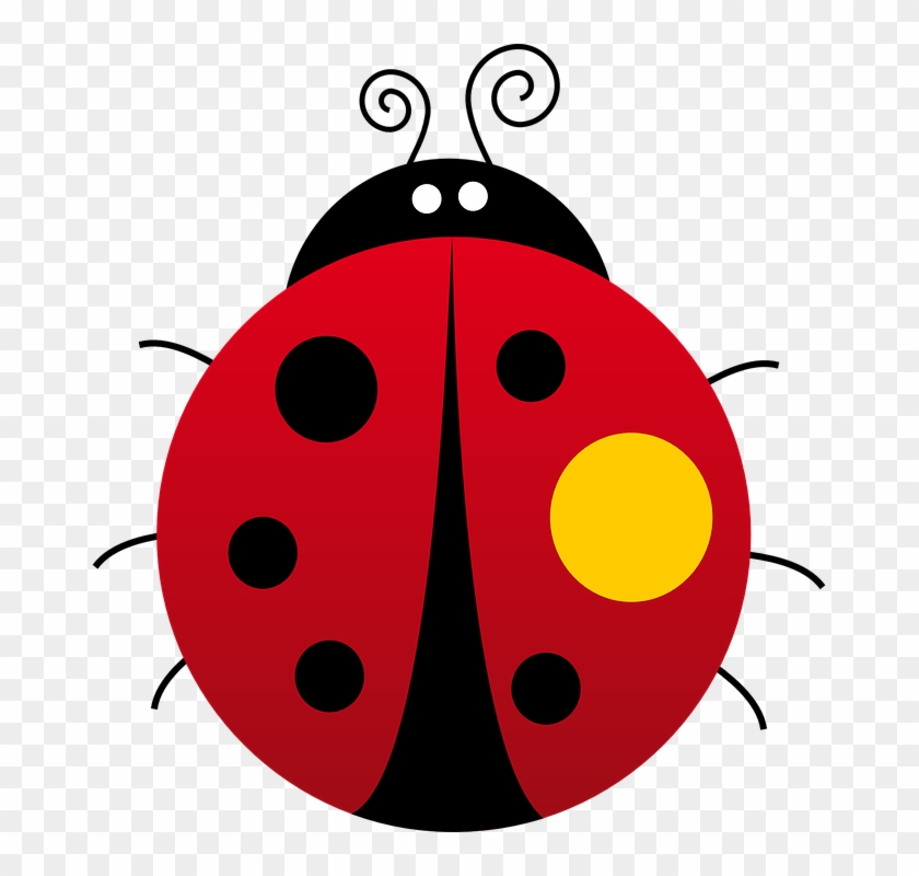 Ladybug Clipart Kumbang Gambar  Animasi Kumbang Kepik  HD 
